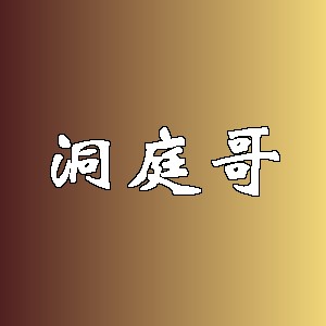 洞庭哥品牌logo