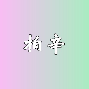柏辛品牌logo