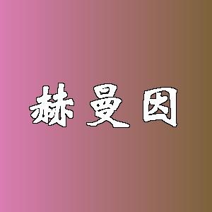 赫曼因品牌logo