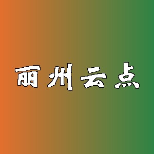 丽州云点品牌Logo