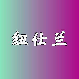 纽仕兰品牌logo