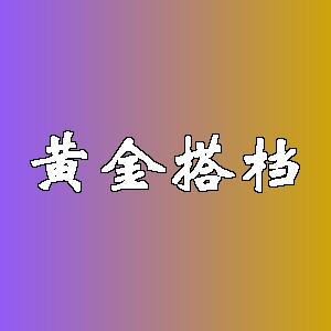 黄金搭档品牌logo