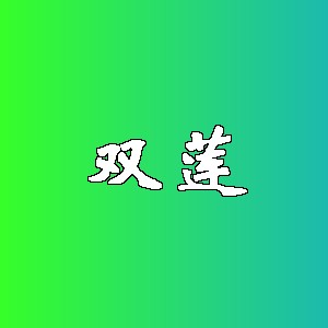 双莲品牌logo