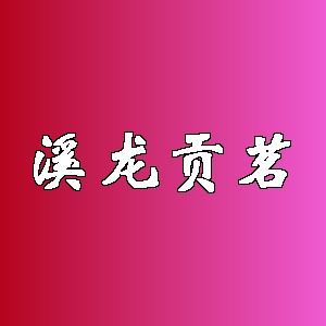 溪龙贡茗品牌logo