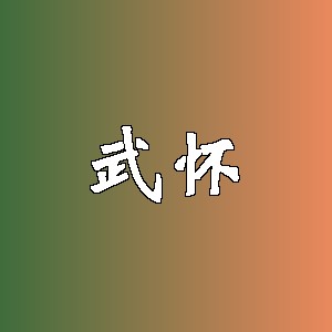 武怀品牌logo