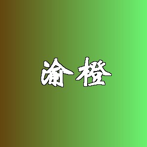渝橙品牌logo