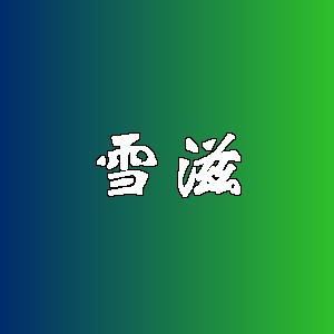 雪滋品牌logo