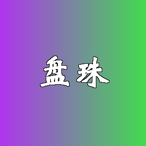 盘珠品牌logo