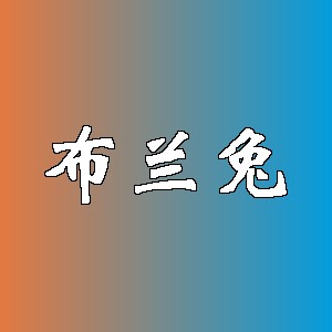 布兰兔品牌logo