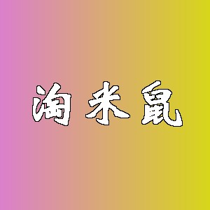 淘米鼠品牌logo