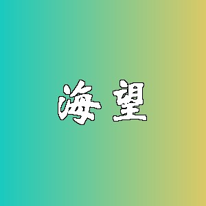 海望品牌logo