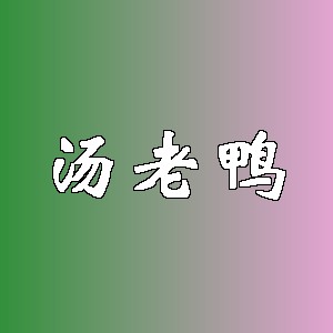 汤老鸭品牌logo