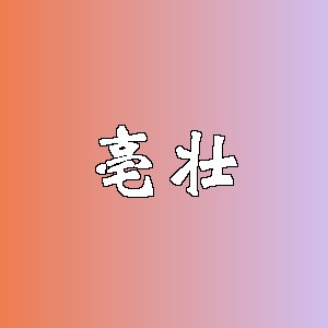 亳壮品牌logo