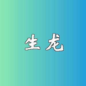 生龙品牌logo