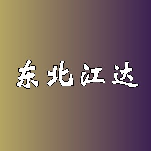 东北江达品牌logo