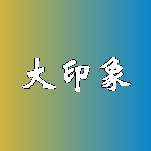 大印象品牌logo