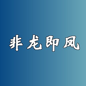 非龙即凤品牌logo