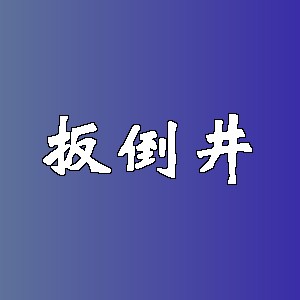 扳倒井品牌logo