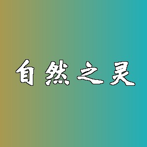 自然之灵品牌logo