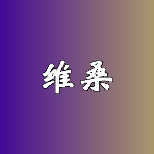 维桑品牌logo