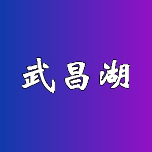 武昌湖品牌logo