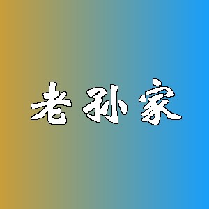 老孙家品牌logo