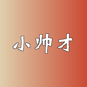 小帅才品牌logo