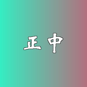 正中品牌logo
