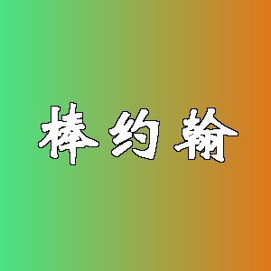 棒约翰品牌logo