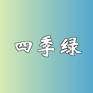 四季绿品牌logo