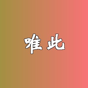 唯此品牌logo