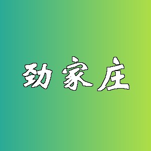 劲家庄品牌logo