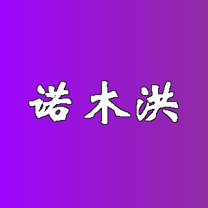 诺木洪品牌logo