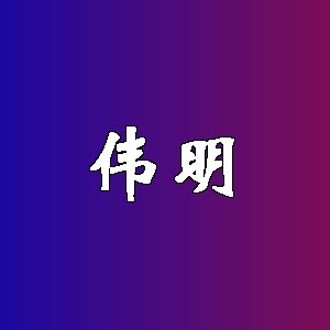 伟明品牌logo