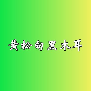 黄松甸黑木耳品牌logo