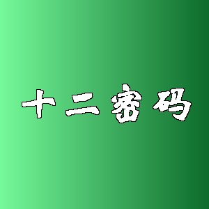十二密码品牌logo