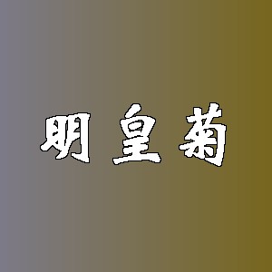 明皇菊品牌logo