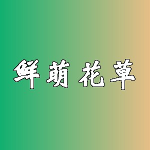 鲜萌花草品牌logo
