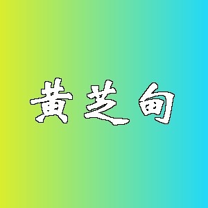 黄芝甸品牌logo