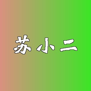 苏小二