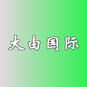 大由国际