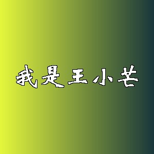 我是王小芒品牌logo
