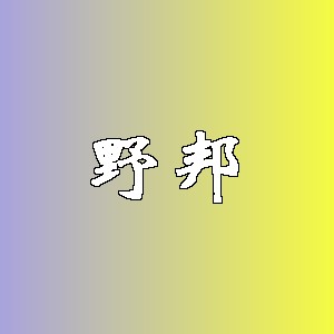 野邦品牌logo