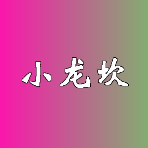 小龙坎品牌logo