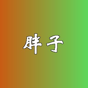 胖子品牌logo