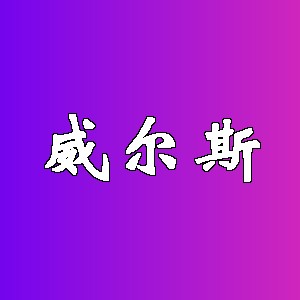 威尔斯