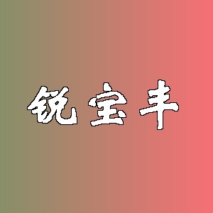 锐宝丰