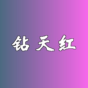 钻天红
