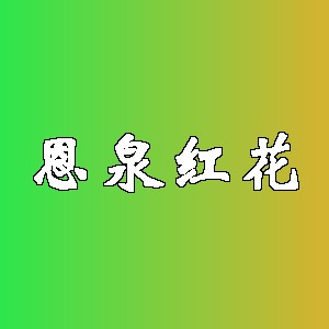 恩泉红花品牌Logo
