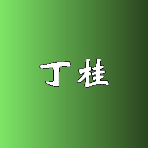 丁桂